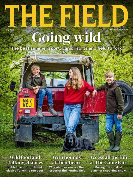 Cover image for The Field